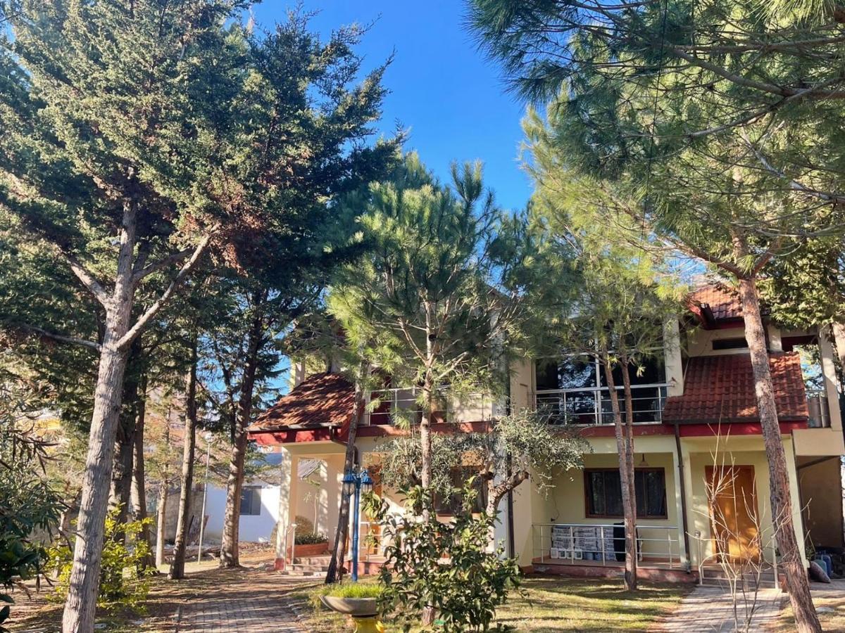 Hotel Garden Villa Ardo Golem  Eksteriør billede